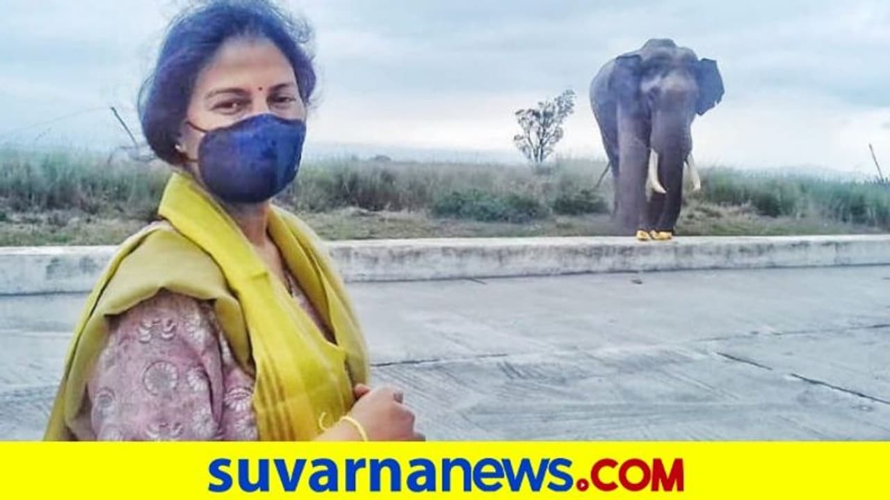 3 ವರ್ಷದ ನಂತ್ರ ದೇವಾಲಯಕ್ಕೆ ಬಂದ ಆನೆ: ಪ್ರಸಾದ ತಿನ್ನಿಸಿದ IAS ಅಧಿಕಾರಿಗೆ ಟೀಕೆ