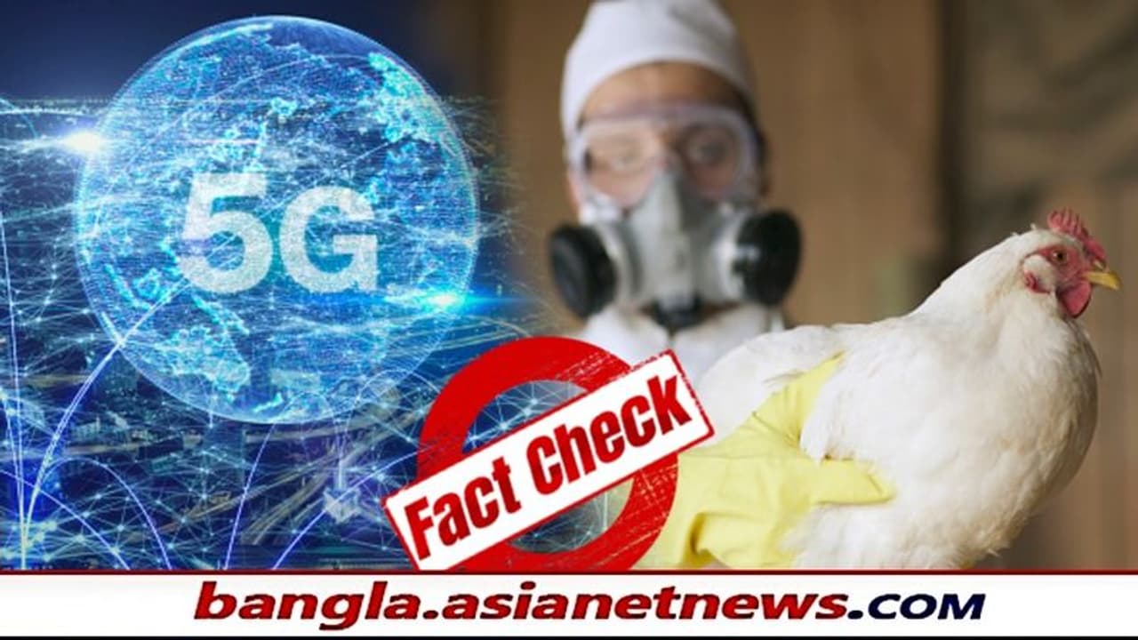 বার্ড ফ্লু নয়, রিলায়েন্স জিও র ফাইভজি পরীক্ষার জন্যই কি দেশজুড়ে মরছে পাখি সত্যিটা কী বার্ড ফ্লু নয়, রিলায়েন্স জিও র ফাইভজি পরীক্ষার জন্যই কি দেশজুড়ে মরছে পাখি সত্যিটা কী