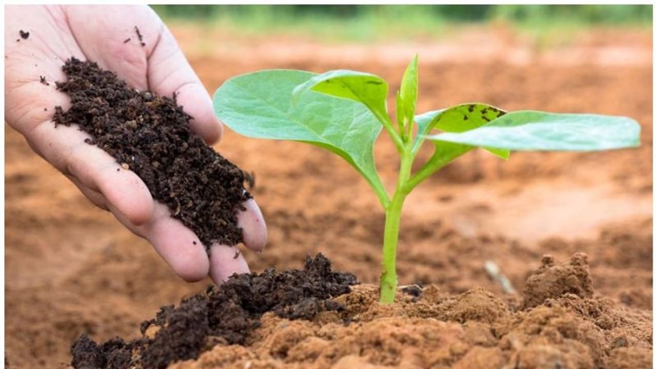 കേരള സംസ്ഥാന യുവജന കമ്മീഷൻ യുവ കർഷക സംഗമം; ജനുവരി അവസാന വാരം പാലക്കാട്