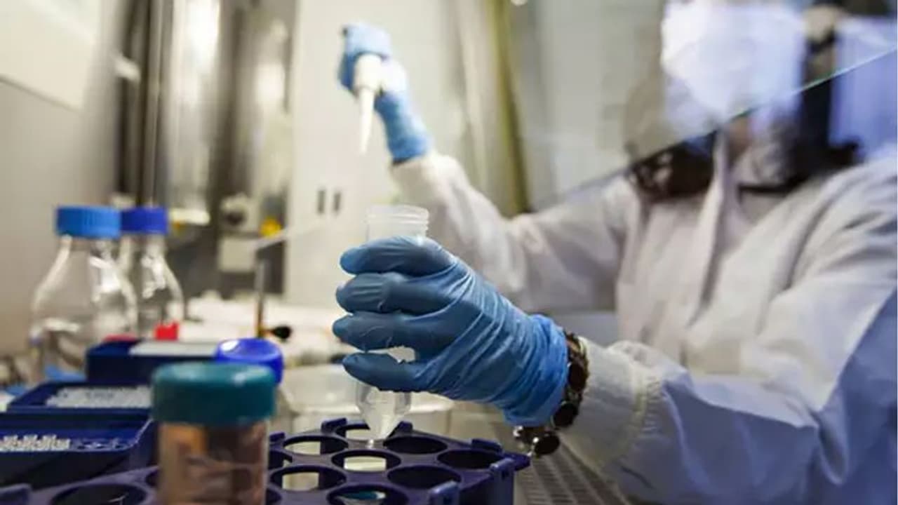 ಬ್ರೆಜಿಲ್‌ನಲ್ಲಿ ಹಬ್ಬಿದ 'ಸೂಪರ್ ಕೋವಿಡ್ 19': ಆತಂಕದಲ್ಲಿ ವಿಶ್ವ, ಲಸಿಕೆಯೂ ನಿಷ್ಪ್ರಯೋಜಕ!