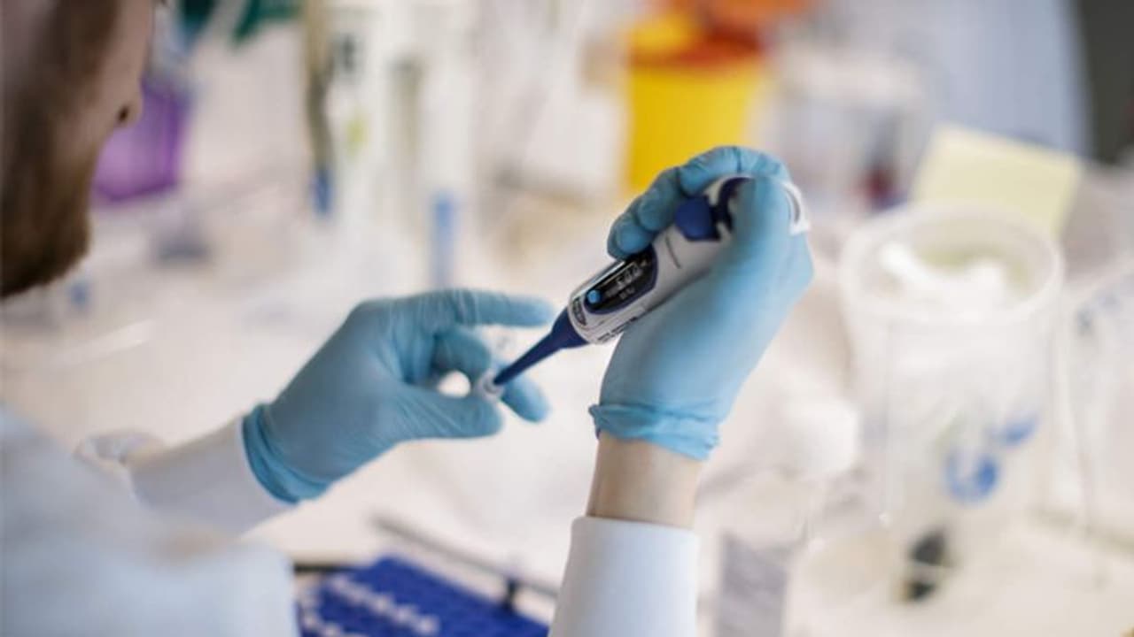 করোনাভাইরাসের জিনগত পরিবর্তন ভারতে, নতুন রূপ কি উদ্বেগ বাড়াচ্ছে স্বাস্থ্য মন্ত্রকের করোনাভাইরাসের জিনগত পরিবর্তন ভারতে, নতুন রূপ কি উদ্বেগ বাড়াচ্ছে স্বাস্থ্য মন্ত্রকের