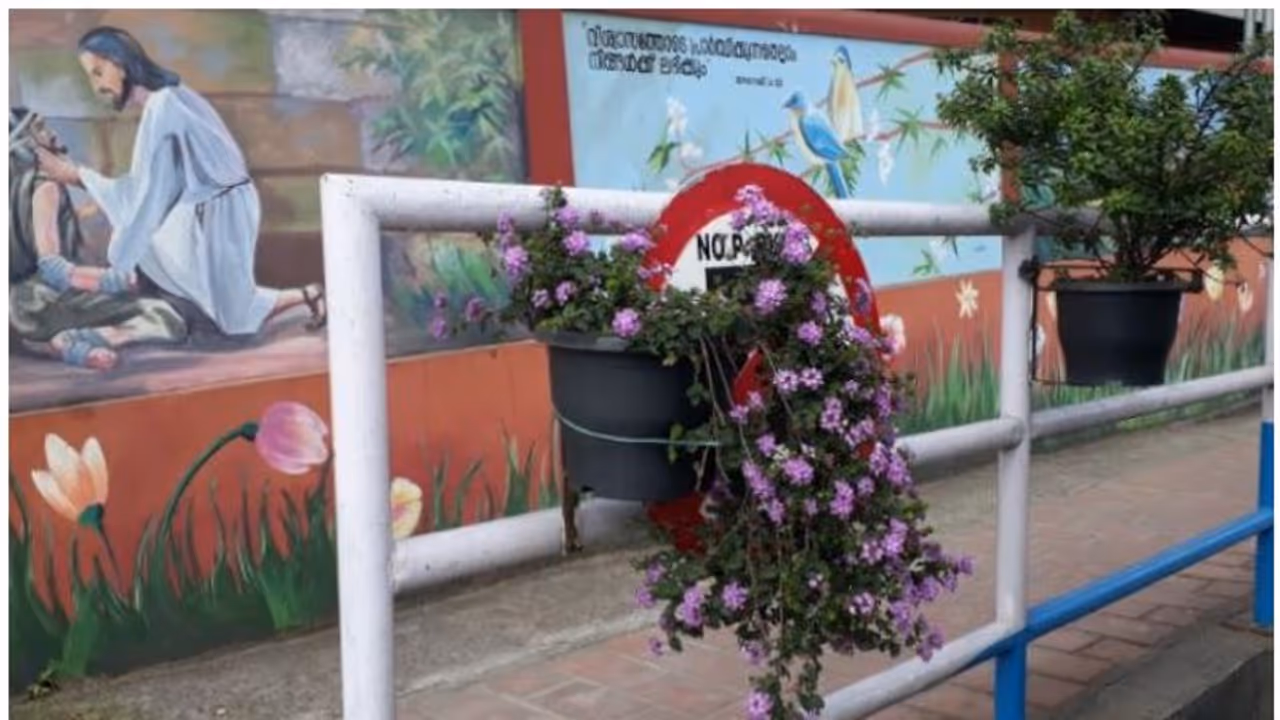 സുല്ത്താന് ബത്തേരി നഗരത്തിലെ ചെടികള് ചട്ടിയോടെ അടിച്ചുമാറ്റി കള്ളന്മാര് സുല്ത്താന് ബത്തേരി നഗരത്തിലെ ചെടികള് ചട്ടിയോടെ അടിച്ചുമാറ്റി കള്ളന്മാര്