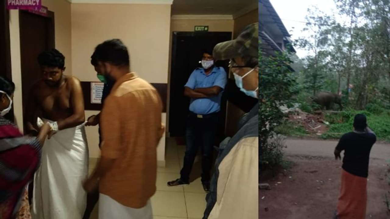 നിലമ്പൂർ ടൗണിൽ കാട്ടാനയിറങ്ങി: മതില് തകര്ത്തു, സ്കൂട്ടര് കുത്തിമറിച്ചിട്ടു, യുവാവിനെ ആക്രമിച്ചു നിലമ്പൂർ ടൗണിൽ കാട്ടാനയിറങ്ങി: മതില് തകര്ത്തു, സ്കൂട്ടര് കുത്തിമറിച്ചിട്ടു, യുവാവിനെ ആക്രമിച്ചു