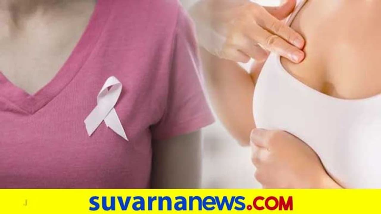 ಸ್ತನ ಕ್ಯಾನ್ಸರ್ಗೆ ಸಿದ್ಧವಾಯ್ತು ಔಷಧ : ಈ ಬೀಜದಿಂದ ನಿವಾರಣೆ ಸ್ತನ ಕ್ಯಾನ್ಸರ್ಗೆ ಸಿದ್ಧವಾಯ್ತು ಔಷಧ : ಈ ಬೀಜದಿಂದ ನಿವಾರಣೆ