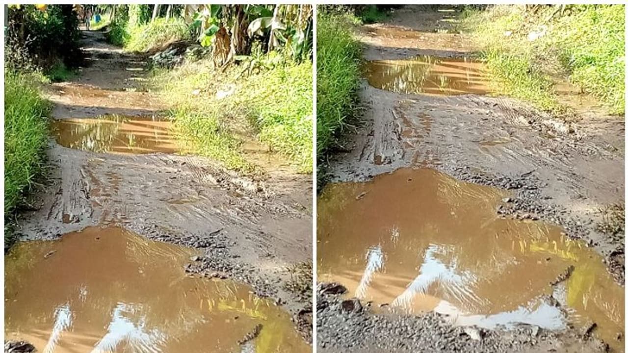 അരനൂറ്റാണ്ടായിട്ടും പള്ളാത്തുരുത്തിയില്‍ റോഡില്ല