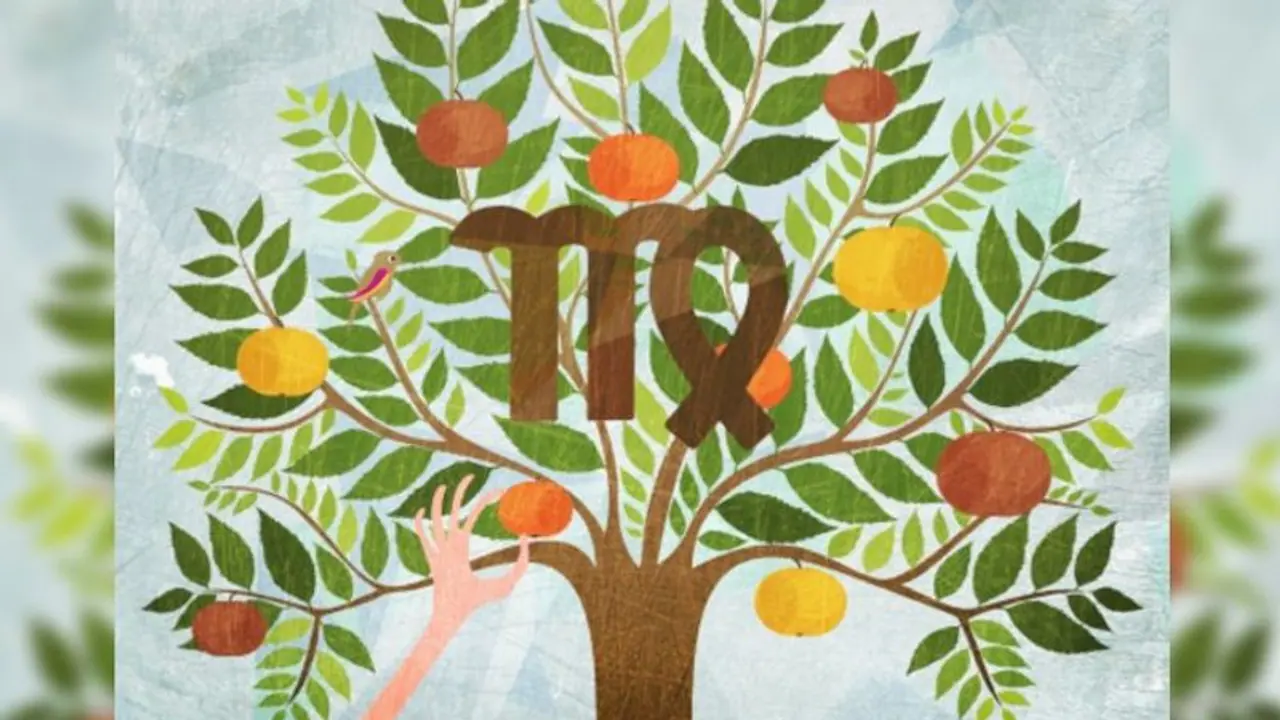 কর্মক্ষেত্রে উন্নতির যোগ, দেখে নিন আষাঢ় মাস কেমন প্রভাব ফেলবে কন্যা রাশির উপর 