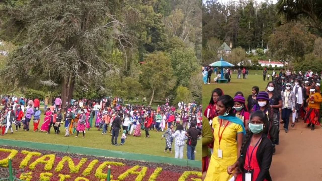 അവധി ദിനങ്ങളിൽ ഊട്ടിയിലേക്ക് ഒഴുകി സഞ്ചാരികൾ; കൊവിഡ് മാനദണ്ഡം പാലിക്കാൻ പാടുപെട്ട് അധികൃതർ അവധി ദിനങ്ങളിൽ ഊട്ടിയിലേക്ക് ഒഴുകി സഞ്ചാരികൾ; കൊവിഡ് മാനദണ്ഡം പാലിക്കാൻ പാടുപെട്ട് അധികൃതർ