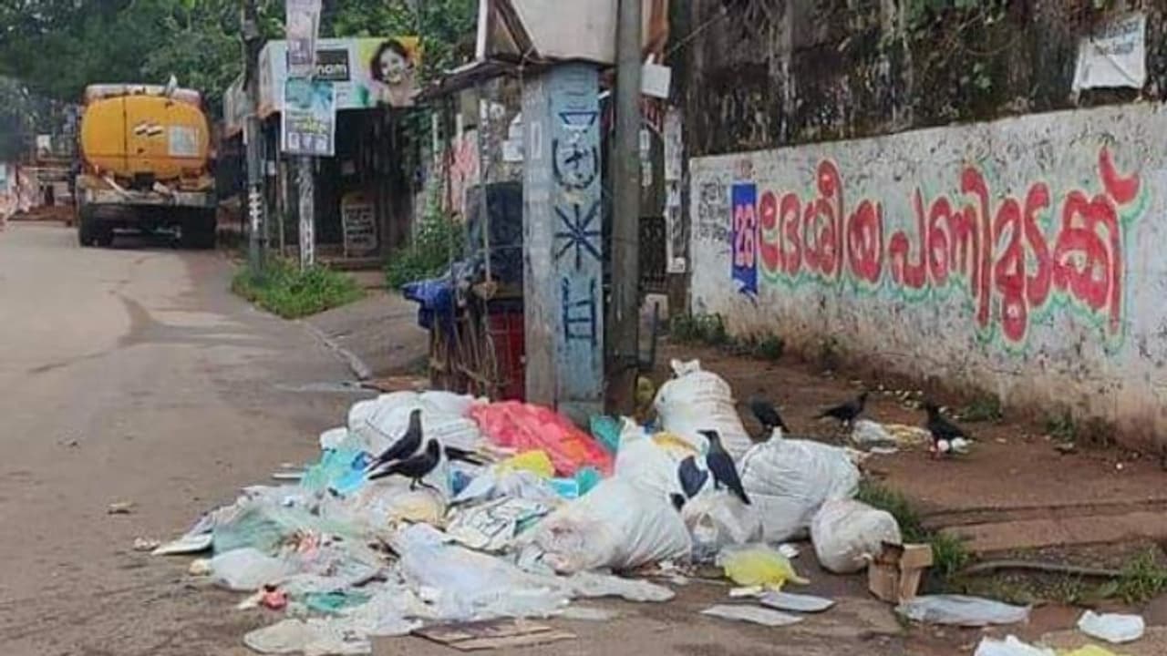 താമരശ്ശേരി ടൗണിൽ മാലിന്യം തള്ളി; പതിനായിരം രൂപ പിഴയടപ്പിച്ച് പഞ്ചായത്ത്
