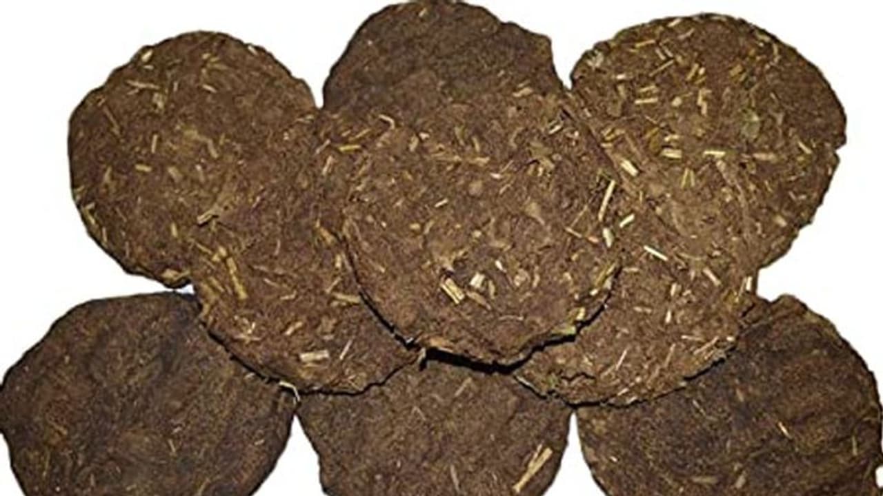 భారతీయుడి బ్యాగ్‌లో పిడకలు.. పరుగులు తీసిన వాషింగ్టన్ ఎయిర్‌పోర్ట్ సిబ్బంది