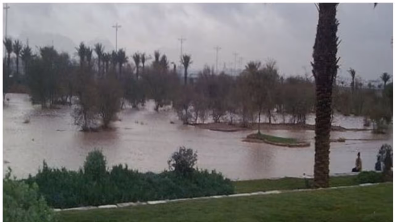 മലവെള്ളപ്പാച്ചിലില് താഴ്വരകള് മുറിച്ചു കടക്കുന്നവര്ക്ക് 10,000 റിയാല് വരെ പിഴ മലവെള്ളപ്പാച്ചിലില് താഴ്വരകള് മുറിച്ചു കടക്കുന്നവര്ക്ക് 10,000 റിയാല് വരെ പിഴ