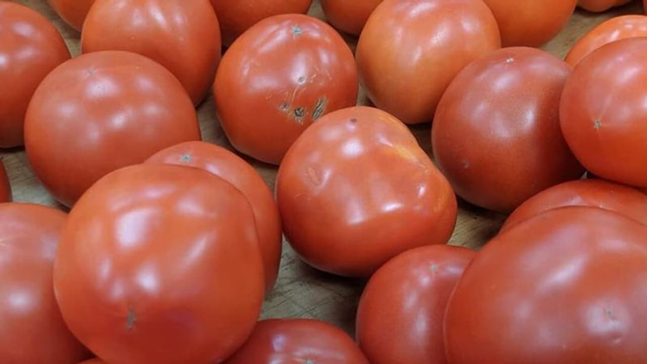Bengaluru| ಟೊಮೆಟೋ ದುಬಾರಿ: ಕೇಜಿಗೆ ಈಗ 70 ರೂ., ಗ್ರಾಹಕರ ಜೇಬಿಗೆ ಕತ್ತರಿ