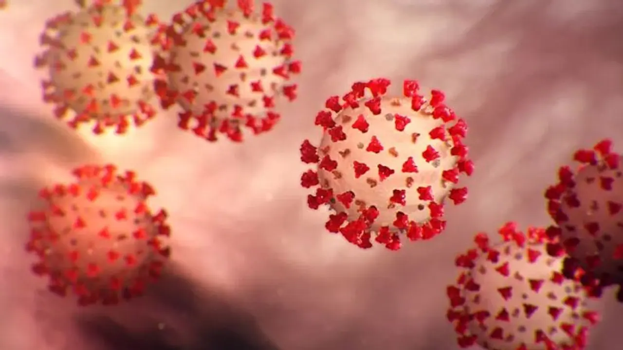 10ಕ್ಕಿಂತ ಹೆಚ್ಚು ಮಕ್ಕಳಿಗೆ ಕೋವಿಡ್ ಬಂದರೆ ಶಾಲೆಗೆ ರಜೆ! 10ಕ್ಕಿಂತ ಹೆಚ್ಚು ಮಕ್ಕಳಿಗೆ ಕೋವಿಡ್ ಬಂದರೆ ಶಾಲೆಗೆ ರಜೆ!