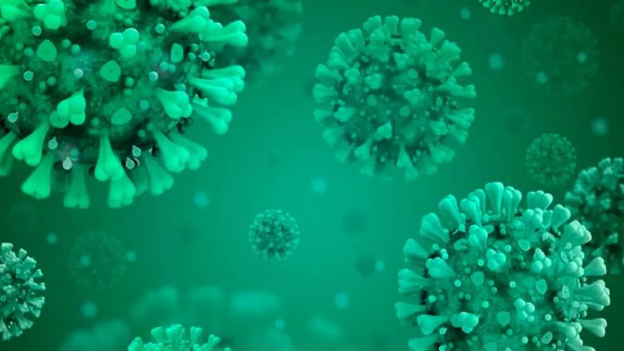 கொரோனா தொற்றுடன் படப்பிடிப்பிற்கு வந்த பிக்பாஸ் பிரபலம்! FIR பதிவு செய்த போலீசார்! கொரோனா தொற்றுடன் படப்பிடிப்பிற்கு வந்த பிக்பாஸ் பிரபலம்! FIR பதிவு செய்த போலீசார்!