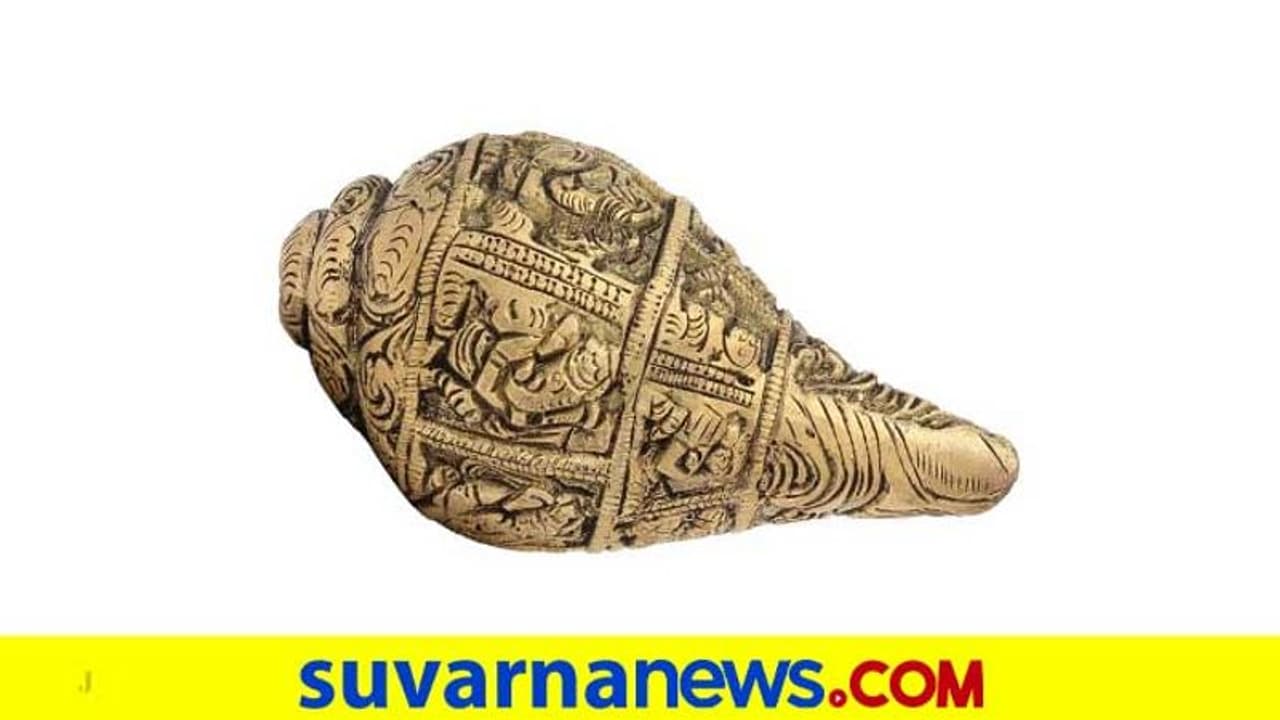 ಈ ಶಂಖಗಳ ಮನೆಯಲ್ಲಿಡಿ, ಸಖತ್ ಲಾಭ, ಸಮೃದ್ಧಿ ಪಡೆಯಿರಿ! ಈ ಶಂಖಗಳ ಮನೆಯಲ್ಲಿಡಿ, ಸಖತ್ ಲಾಭ, ಸಮೃದ್ಧಿ ಪಡೆಯಿರಿ!