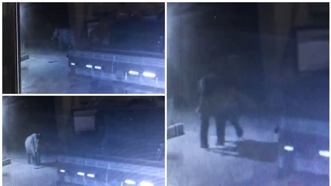 വൈദ്യുത വേലി കവച്ച് കടന്ന് കാട്ടാന ദേശീയപാതയില്‍; ഭീതിയില്‍ ജനം