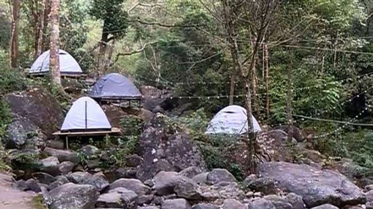 യുവതിയെ കാട്ടാന ചവിട്ടിക്കൊന്ന സംഭവം; താമസിച്ചിരുന്ന ഹോം സ്റ്റേക്ക് ലൈസൻസ് ഇല്ലെന്ന് പഞ്ചായത്ത്