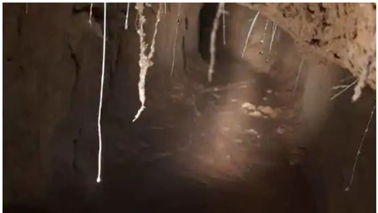 ഇന്ത്യയിലേക്ക് തീവ്രവാദികളെ കടത്താനായി നിര്മ്മിച്ച തുരങ്കം കണ്ടെത്തി; 8 വര്ഷം പഴക്കമുള്ളതെന്ന് റിപ്പോര്ട്ട് ഇന്ത്യയിലേക്ക് തീവ്രവാദികളെ കടത്താനായി നിര്മ്മിച്ച തുരങ്കം കണ്ടെത്തി; 8 വര്ഷം പഴക്കമുള്ളതെന്ന് റിപ്പോര്ട്ട്