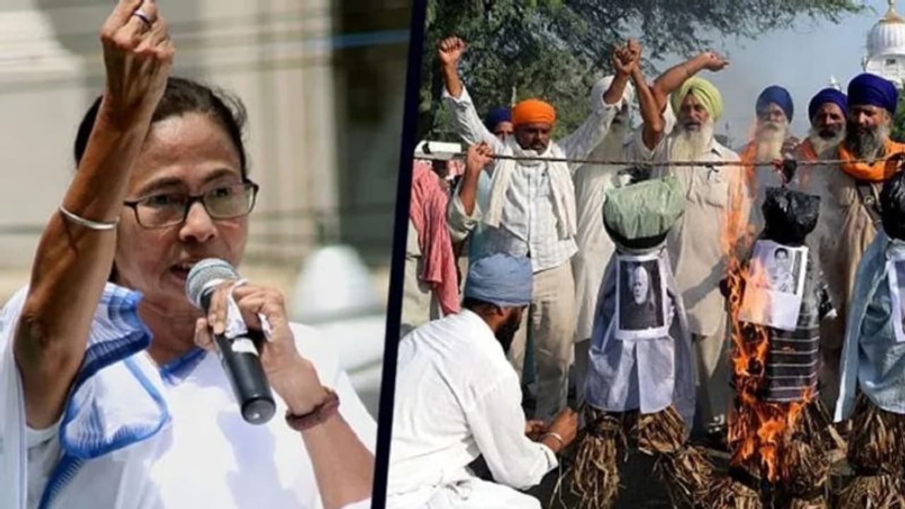 ট্রাক্টর মিছিল ঘিরে রণক্ষেত্র রাজধানী, 'এই পরিস্থিতির জন্য দায়ী কেন্দ্রের উদাসীনতা', ট্যুইট খোঁচা মমতার ট্রাক্টর মিছিল ঘিরে রণক্ষেত্র রাজধানী, 'এই পরিস্থিতির জন্য দায়ী কেন্দ্রের উদাসীনতা', ট্যুইট খোঁচা মমতার