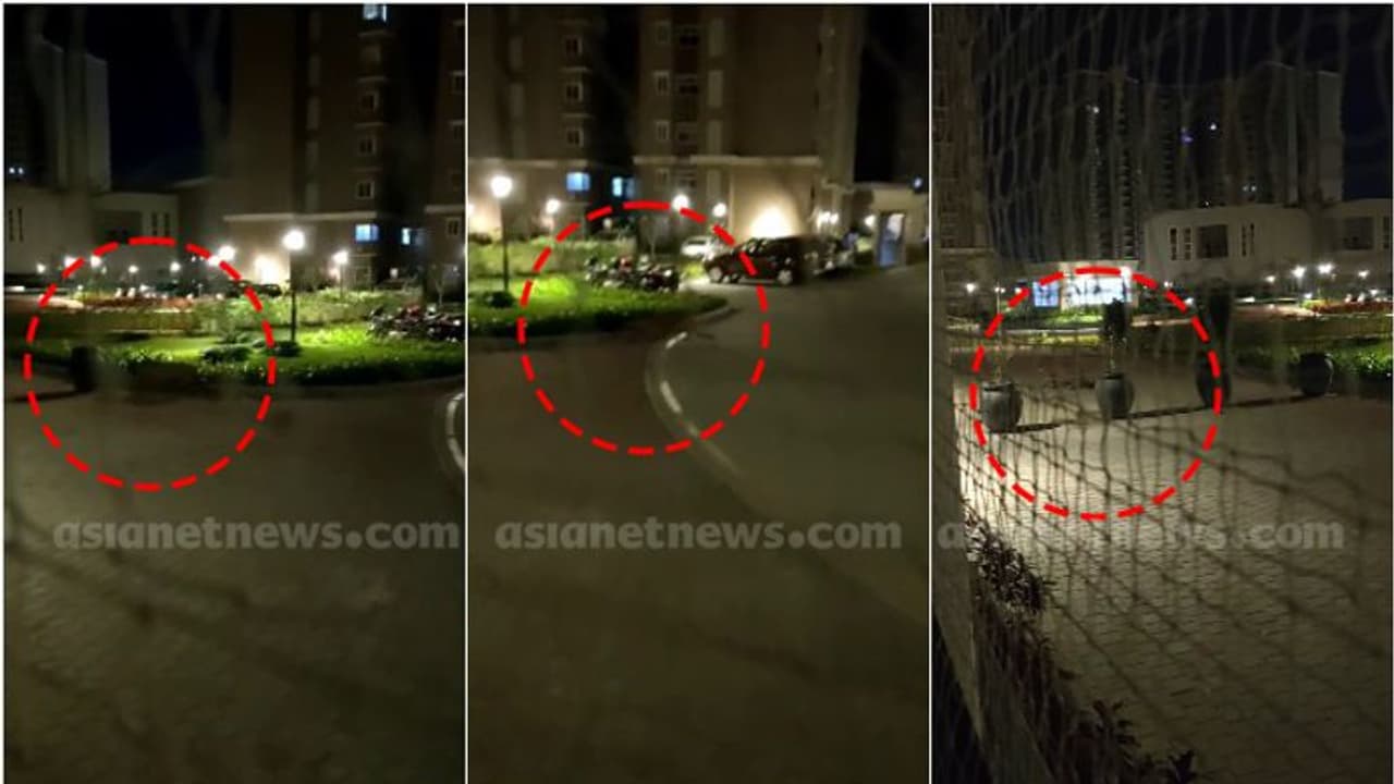 ബെംഗളൂരുവിൽ അപ്പാർട്ട്മെൻ്റ് കോംപ്ലക്സിൽ പുലി ! പിടിക്കാൻ ശ്രമം തുടരുന്നു ബെംഗളൂരുവിൽ അപ്പാർട്ട്മെൻ്റ് കോംപ്ലക്സിൽ പുലി ! പിടിക്കാൻ ശ്രമം തുടരുന്നു