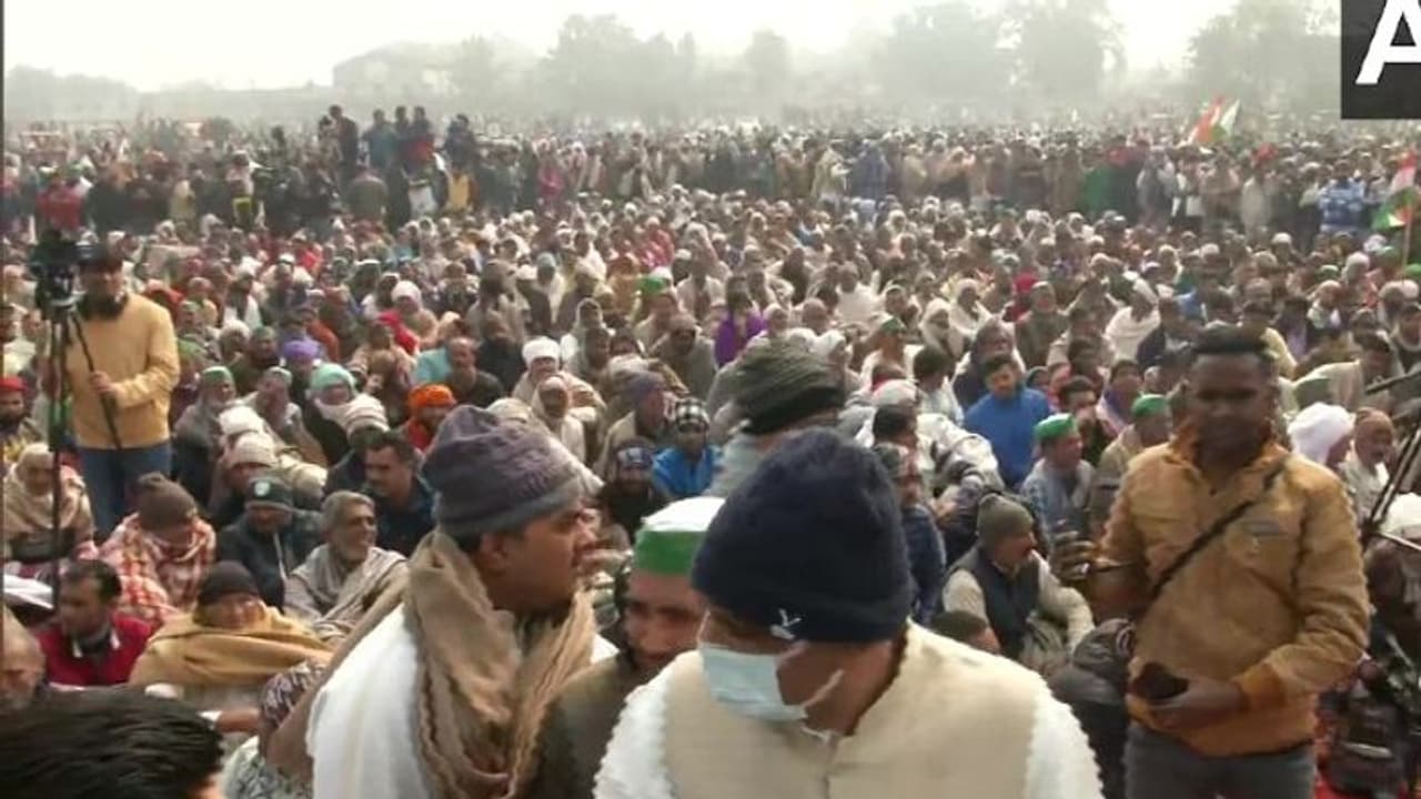 কৃষক নেতা রাকেশের কান্না প্রাণ ফেরাল আন্দোলনের, কৃষক মহাপঞ্চায়েতে জনসমুদ্র