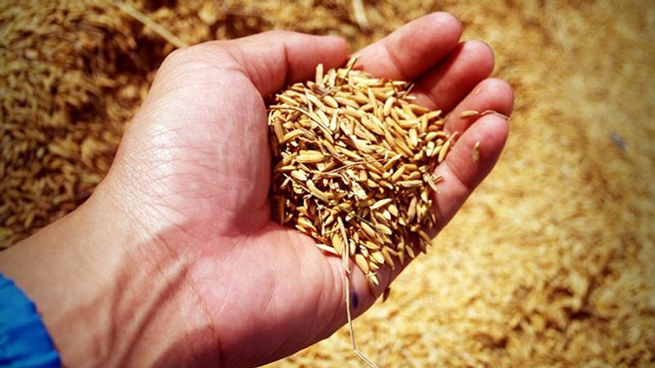 Agricultural Loan : 300 ರೈತರ ಮೇಲೆ ಬ್ಯಾಂಕ್ ದಾವೆ : ಪ್ರತಿಭಟನೆ Agricultural Loan : 300 ರೈತರ ಮೇಲೆ ಬ್ಯಾಂಕ್ ದಾವೆ : ಪ್ರತಿಭಟನೆ