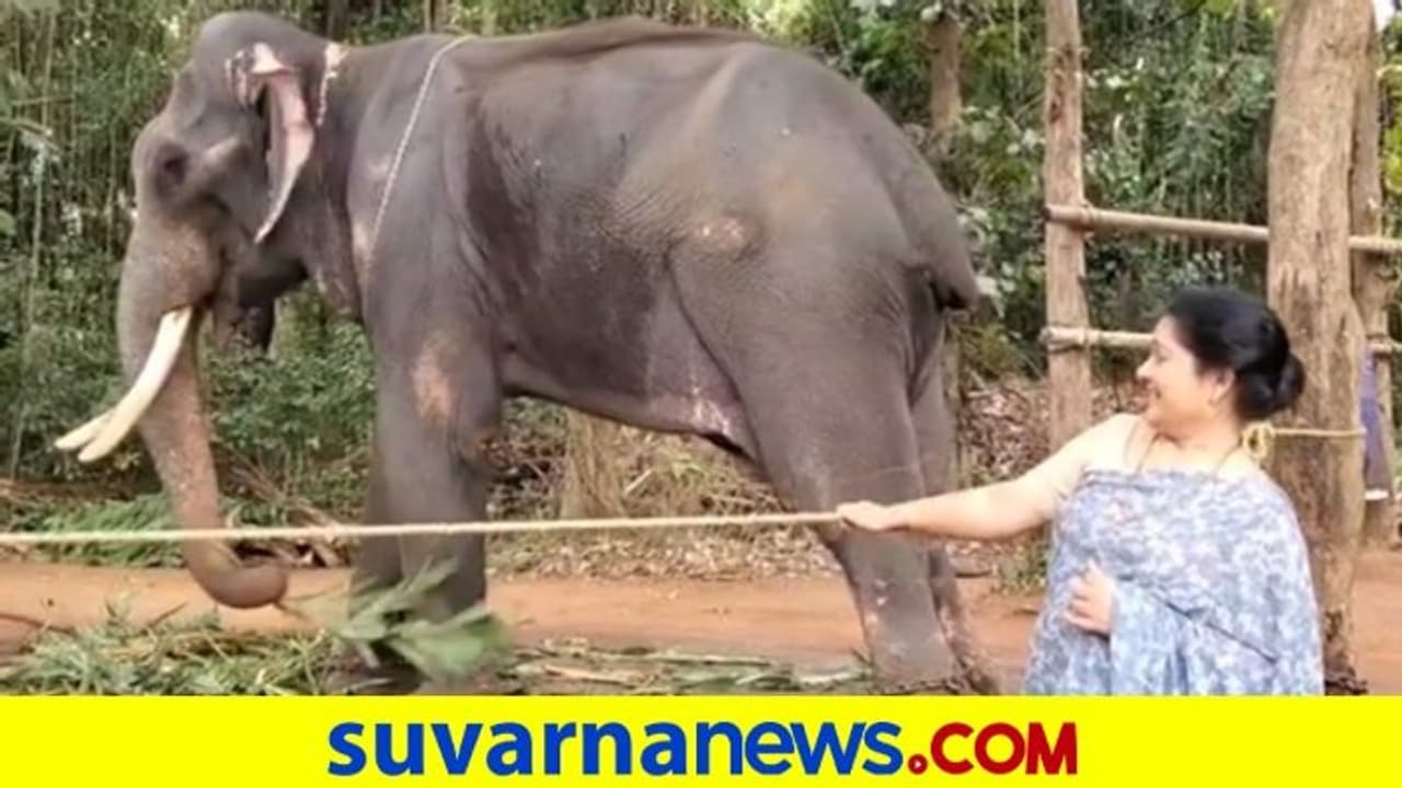 ಆನೆಯ ಜೊತೆ ಅಮ್ಮಮ್ಮ: ಕನ್ನಡತಿ ನಟಿ ಚಿತ್ಕಲಾ ಆನೆಯನ್ನ ಮಾತಾಡ್ಸೋದ್ ನೋಡಿ