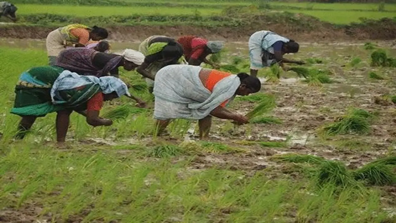 Cabinet approves implementation of PMKSY scheme for 2021 26, irrigation scheme to benefit 22 lakh farmers