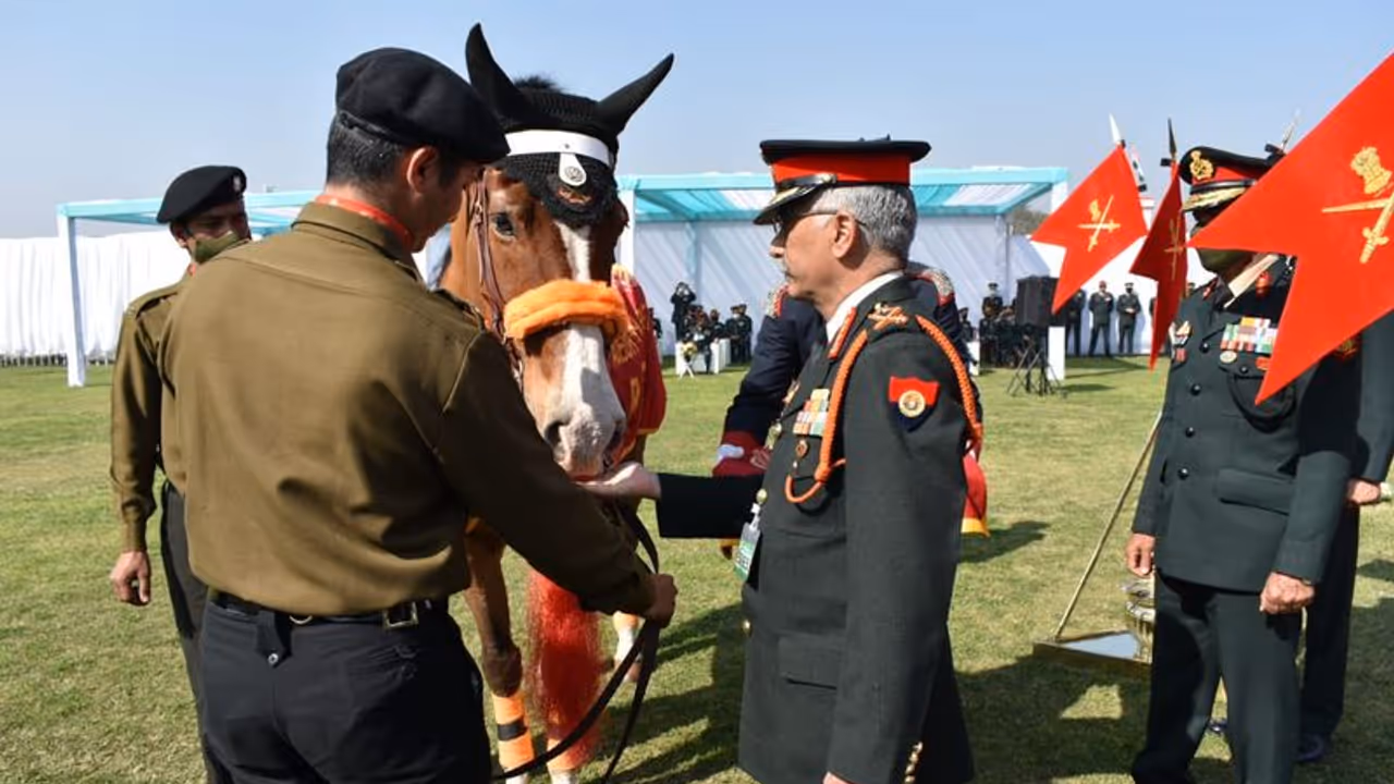 <p>Indian Army 61 Cavalry’s horse Rio received Chief of Army Staff commendation on Sunday for his stellar service as he completed his 18th Republic Day parade. </p>
<p>Indian Army 61 Cavalry’s horse Rio received Chief of Army Staff commendation on Sunday for his stellar service as he completed his 18th Republic Day parade. </p>