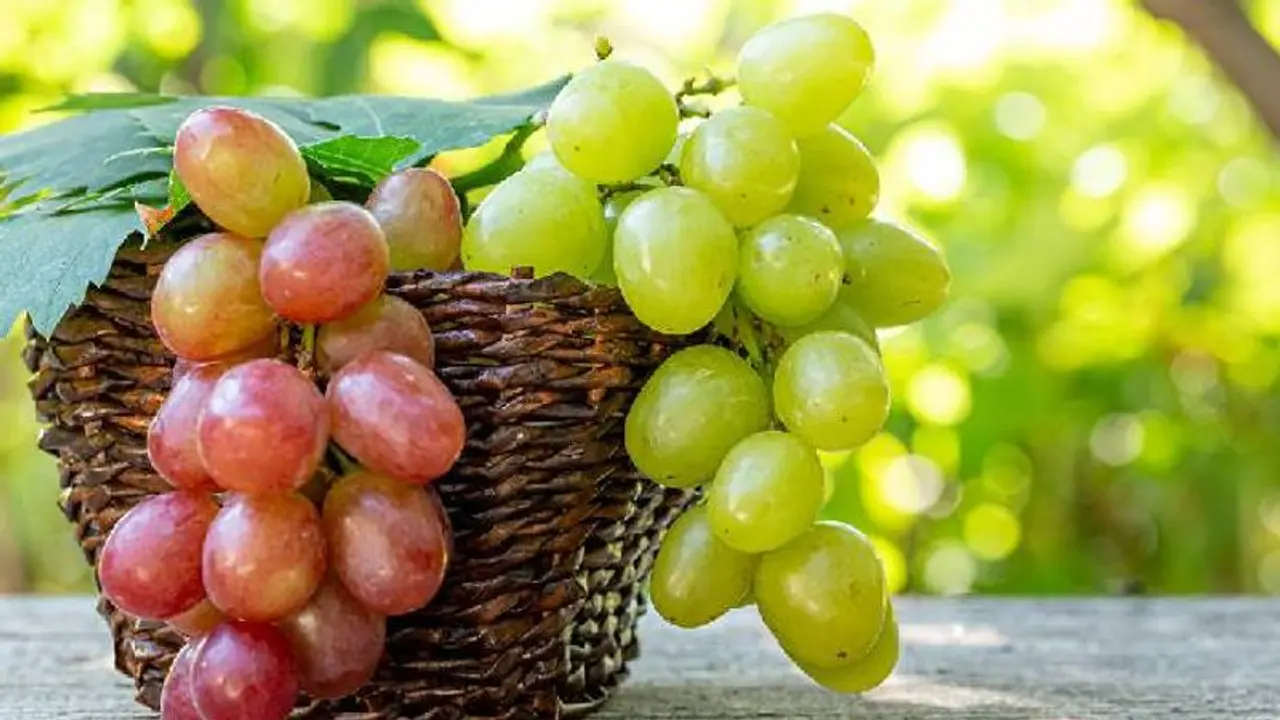 എന്തുകൊണ്ട് മുന്തിരി കഴിക്കണം? ഇതാ അഞ്ച് കാരണങ്ങള്‍...