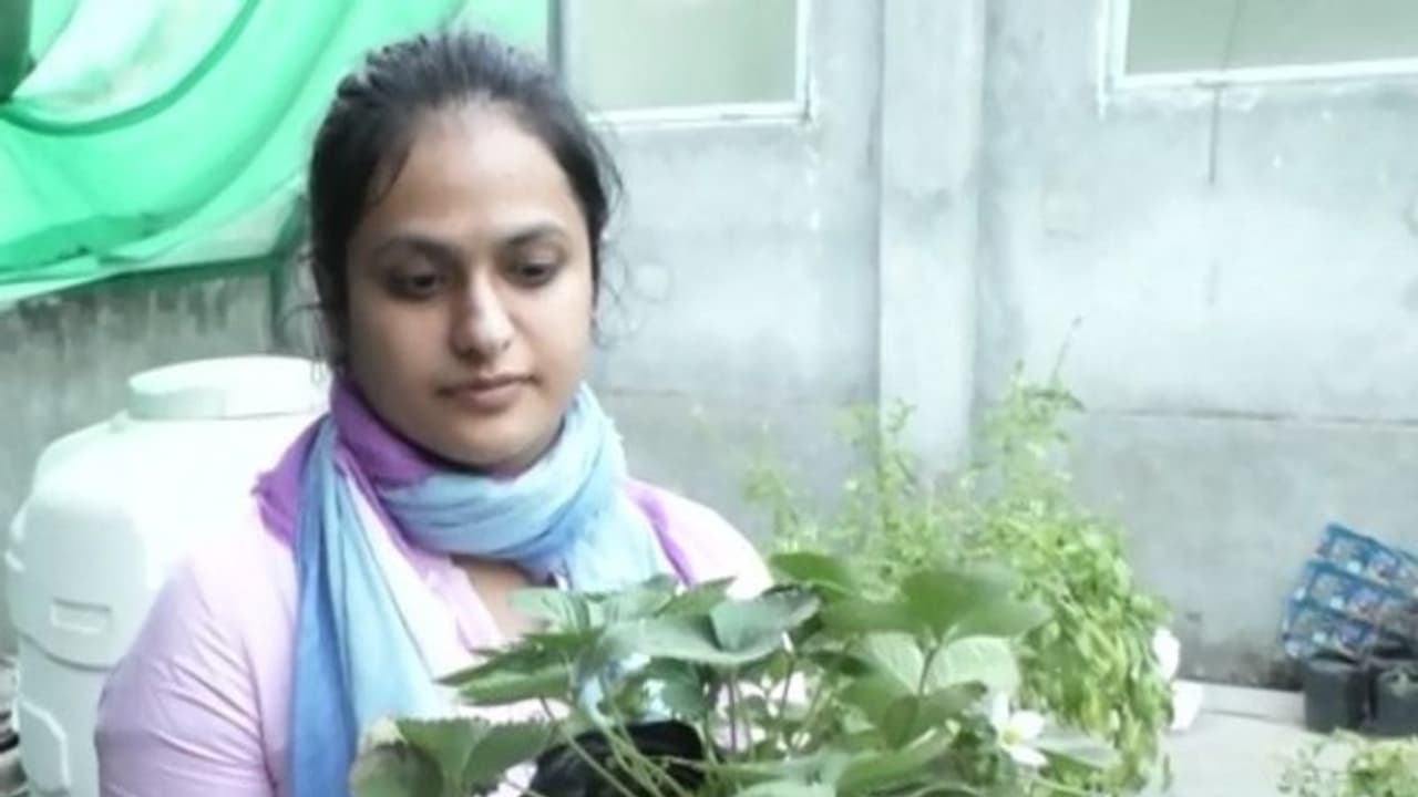 सीएम योगी के बाद पीएम मोदी ने भी इस लड़की को सराहा, जानिए क्या करती है ऐसा काम सीएम योगी के बाद पीएम मोदी ने भी इस लड़की को सराहा, जानिए क्या करती है ऐसा काम