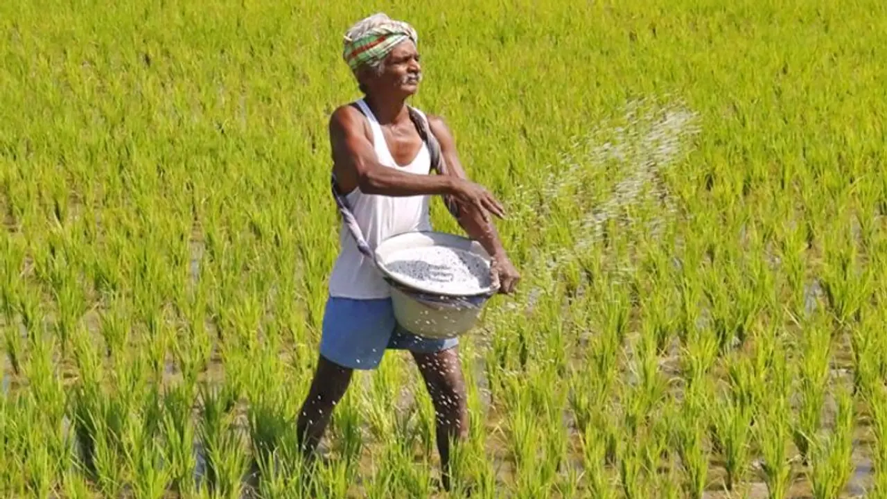 Field Trials of GM Crops: 'ಆಹಾರ ಸುರಕ್ಷತೆ ಖಾತರಿಪಡಿಸಲು ಜಿಎಮ್ ಬೆಳೆಗಳ ಕ್ಷೇತ್ರ ಪ್ರಯೋಗಗಳು ಅಗತ್ಯ'