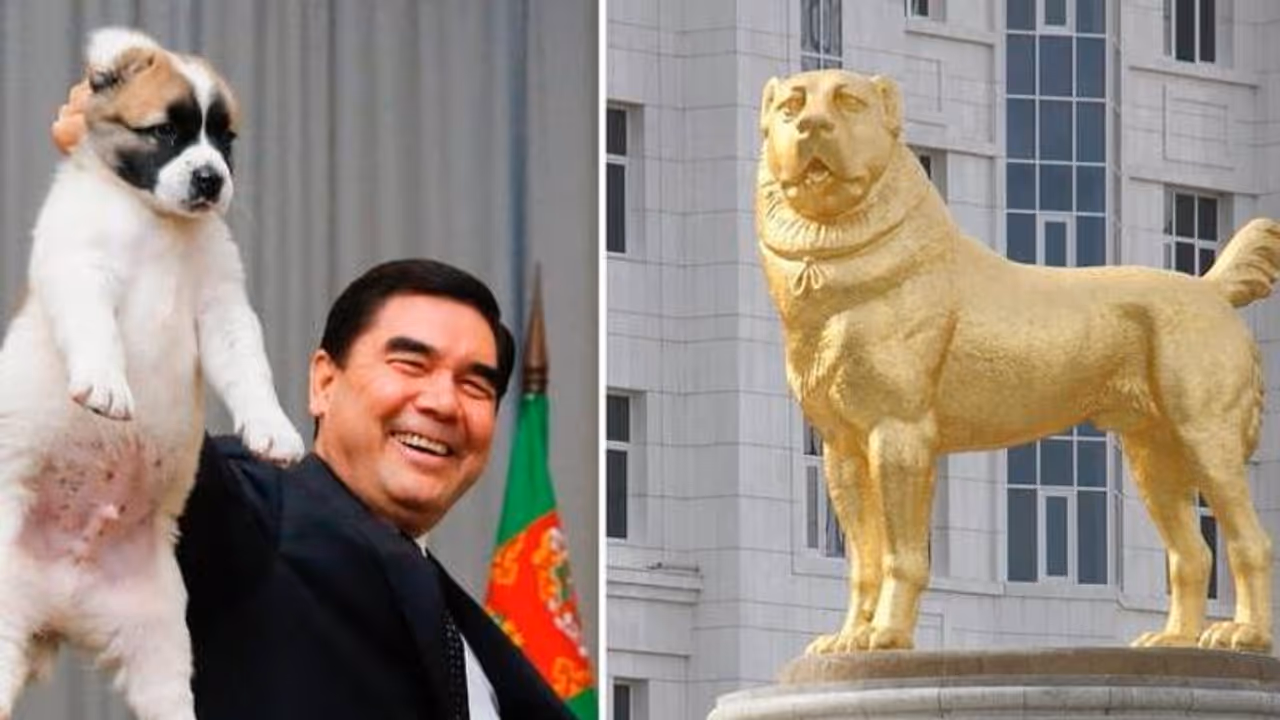 നായയോടുള്ള ആദരവായി സ്വർണപ്രതിമ, പുസ്തകം ഇപ്പോഴിതാ ദേശീയ അവധിദിനവും പ്രഖ്യാപിച്ച് തുർക്മെനിസ്ഥാൻ