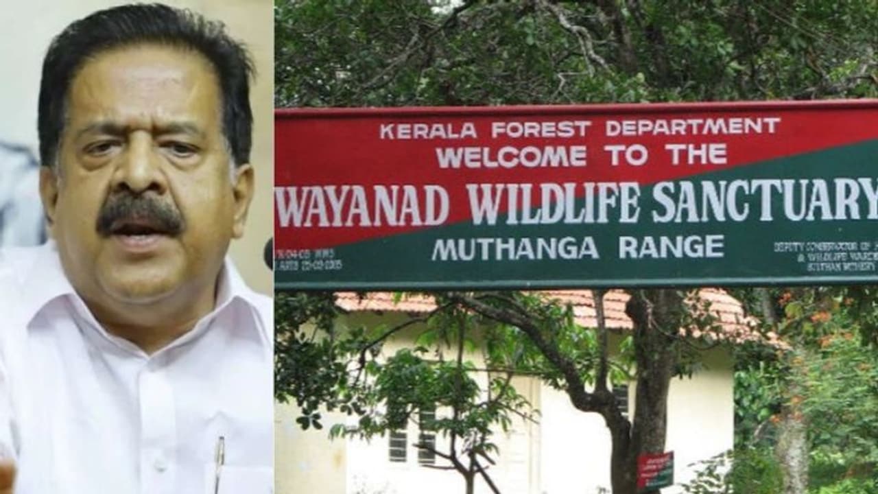 വയനാട് വന്യജീവി സങ്കേതം: കേന്ദ്ര വിജ്ഞാപനം പിൻവലിക്കാൻ സംസ്ഥാനം സമ്മർദ്ദം ചെലുത്തണമെന്ന് ചെന്നിത്തല വയനാട് വന്യജീവി സങ്കേതം: കേന്ദ്ര വിജ്ഞാപനം പിൻവലിക്കാൻ സംസ്ഥാനം സമ്മർദ്ദം ചെലുത്തണമെന്ന് ചെന്നിത്തല