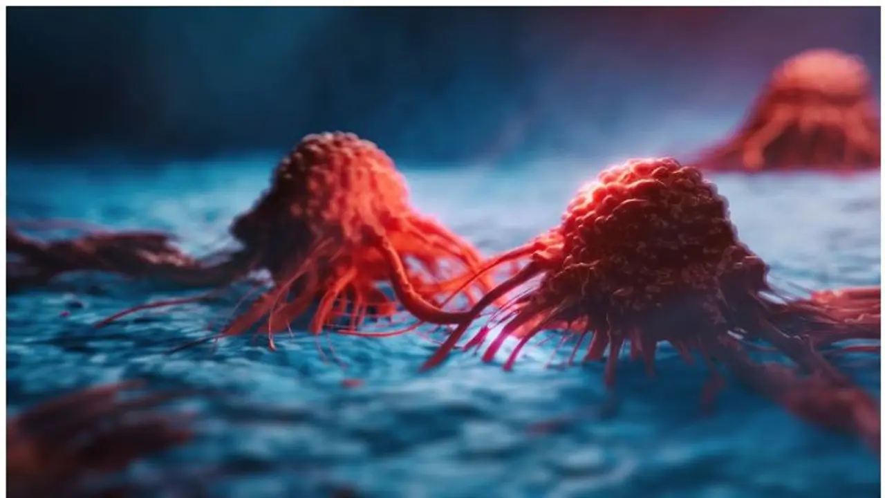 ഇവ കഴിച്ചോളൂ, ക്യാൻസർ സാധ്യത കുറയ്ക്കാം ഇവ കഴിച്ചോളൂ, ക്യാൻസർ സാധ്യത കുറയ്ക്കാം