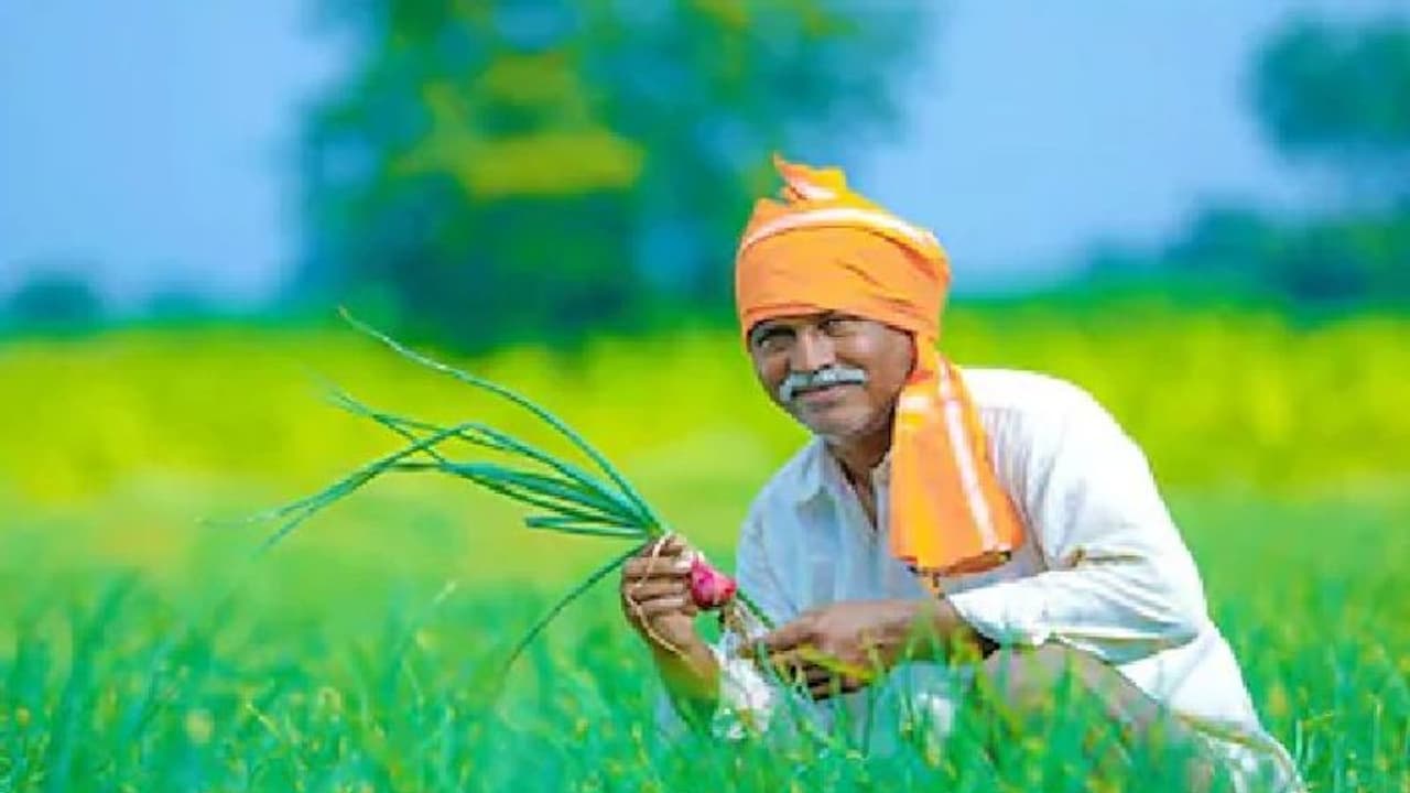 ರಾಜ್ಯ ಸರ್ಕಾರದಿಂದ 30 ಲಕ್ಷ ರೈತರಿಗೆ ಬಂಪರ್ ರಾಜ್ಯ ಸರ್ಕಾರದಿಂದ 30 ಲಕ್ಷ ರೈತರಿಗೆ ಬಂಪರ್