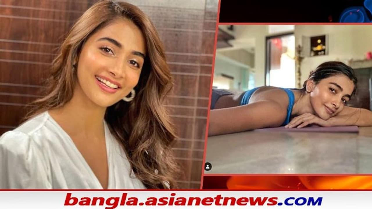 'নগ্ন' দেখতে চান সলমনের নায়িকাকে, ভক্তের আবদার মেটাতে পাল্টা এ কী করে বসলেন পূজা 'নগ্ন' দেখতে চান সলমনের নায়িকাকে, ভক্তের আবদার মেটাতে পাল্টা এ কী করে বসলেন পূজা