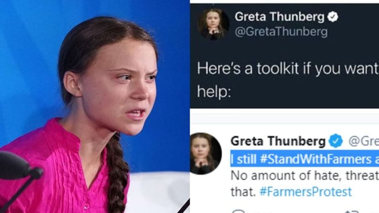 ಭಾರತದಲ್ಲಿ ರೆಡ್ ಹ್ಯಾಂಡ್ ಆಗಿ ಸಿಕ್ಕಿ ಬಿದ್ದ ಗ್ರೇಟಾ; ಅಸಲಿ ಮುಖ ಬಹಿರಂಗ ಎಂದ ಅಮೇರಿಕ ಲೇಖಕಿ!