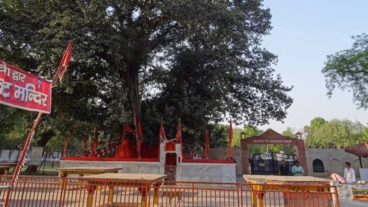 अनूठा फैसला: सालभर में एक पेड़ 74500 रुपए कीमत का हो सकता है, सुप्रीम कोर्ट ने तय की कीमत अनूठा फैसला: सालभर में एक पेड़ 74500 रुपए कीमत का हो सकता है, सुप्रीम कोर्ट ने तय की कीमत