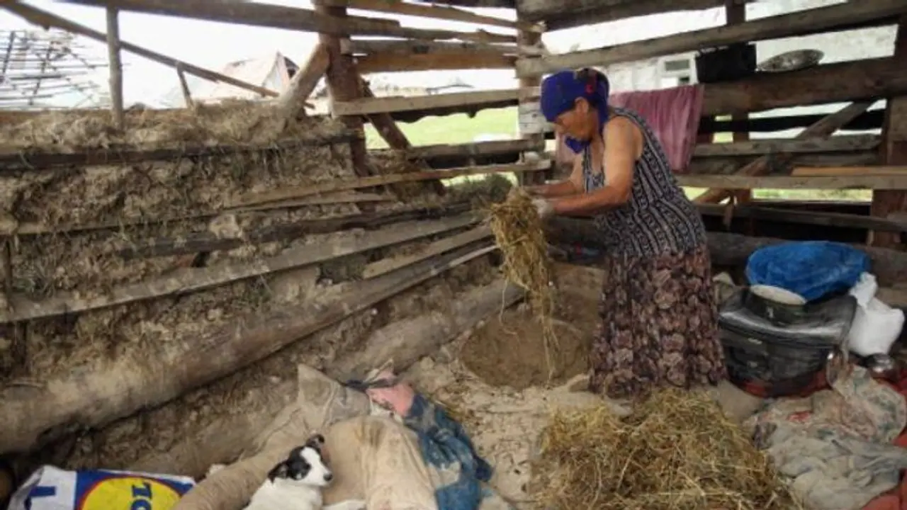 പുഴുക്കളെക്കാൾ മോശമാണ് ഞങ്ങളുടെ അവസ്ഥ; യൂറോപ്യൻ രാജ്യങ്ങളിലെ ഒരു ജനതയുടെ ജീവിതം...
