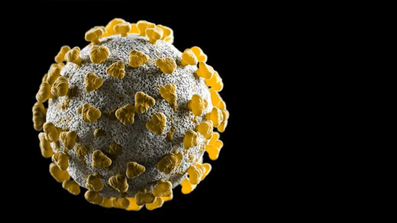 ‘Fake news’: WHO denies issuing warning of 50,000 COVID 19 deaths in India by April