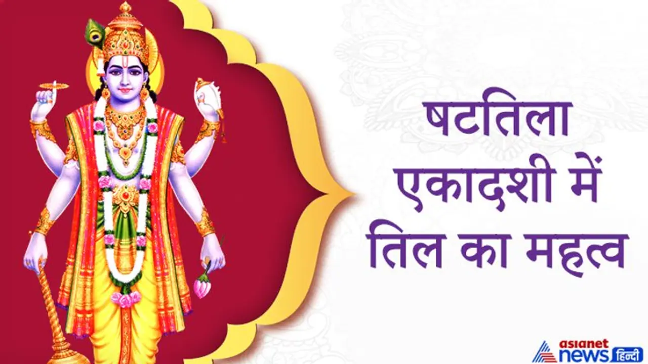 षटतिला एकादशी: आज भोजन और हवन सहित इन 6 कामों में करें तिल का उपयोग षटतिला एकादशी: आज भोजन और हवन सहित इन 6 कामों में करें तिल का उपयोग