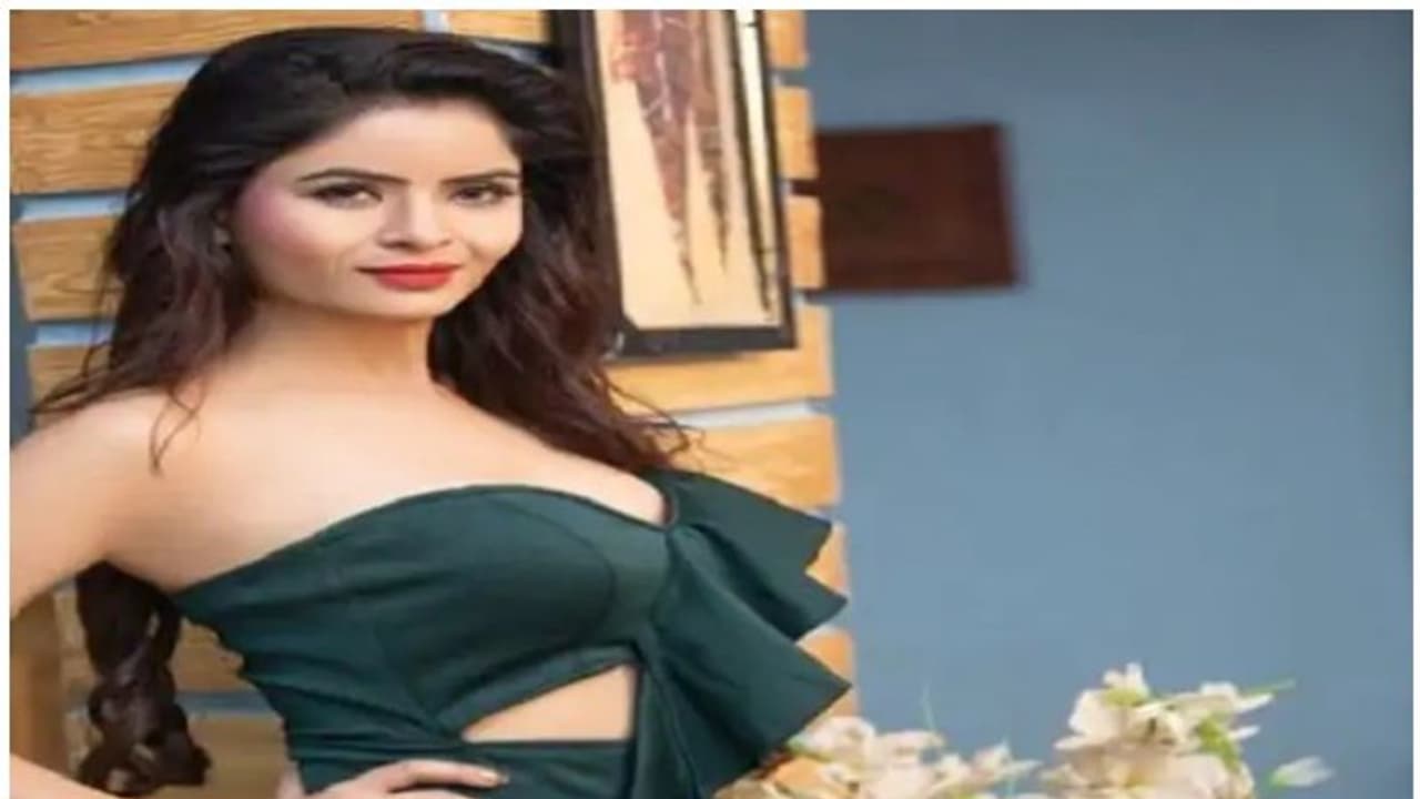 പോണ്‍ വീഡിയോ ചിത്രീകരിച്ച് സൈറ്റില്‍ അപ്ലോഡ് ചെയ്തു; ഇന്ത്യന്‍ നടി അറസ്റ്റില്‍