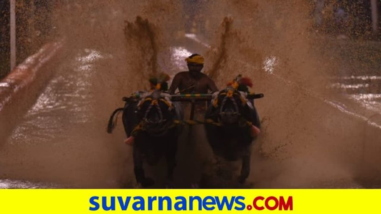 ಮಂಗಳೂರು ಕಂಬಳದಲ್ಲಿ ನಿಶಾಂತ್ ಕೂಟ ದಾಖಲೆ ಮಂಗಳೂರು ಕಂಬಳದಲ್ಲಿ ನಿಶಾಂತ್ ಕೂಟ ದಾಖಲೆ