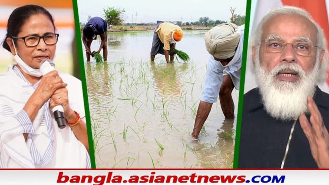 '২ মে কাছে আসতেই মাথা খারাপ হয়ে যাচ্ছে দিদির ', উলুবেড়িয়ায় মমতাকে ফের নিশানা মোদীর '২ মে কাছে আসতেই মাথা খারাপ হয়ে যাচ্ছে দিদির ', উলুবেড়িয়ায় মমতাকে ফের নিশানা মোদীর