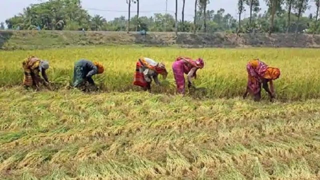 ಬೆಳೆಸಾಲಕ್ಕೆ ರೈತರ ಸೆಲ್ಫಿ, ವಂಶಾವಳಿ ಕಡ್ಡಾಯ..!