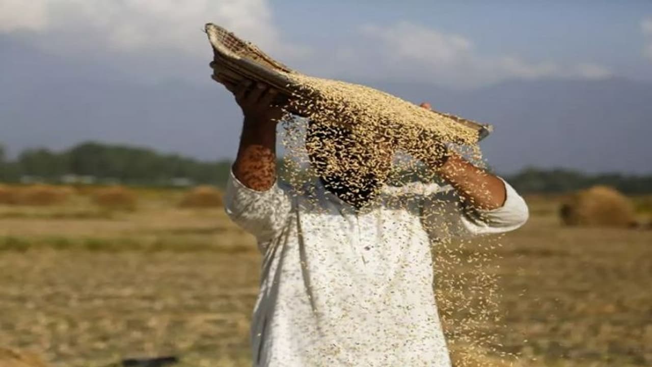 Farmer: কৃষকদের স্বার্থে বড় পদক্ষেপ কেন্দ্রীয় সরকারের, মধ্যস্বত্ত্বভোগীদের দূরে রাখতে নতুন উদ্যোগ Farmer: কৃষকদের স্বার্থে বড় পদক্ষেপ কেন্দ্রীয় সরকারের, মধ্যস্বত্ত্বভোগীদের দূরে রাখতে নতুন উদ্যোগ