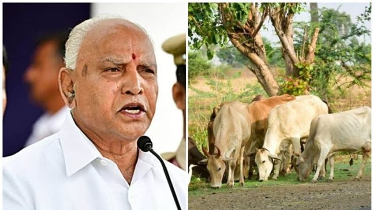 കന്നുകാലി കശാപ്പ് നിരോധനബില് കർണാടക നിയമനിര്മാണസഭയില് പാസായി കന്നുകാലി കശാപ്പ് നിരോധനബില് കർണാടക നിയമനിര്മാണസഭയില് പാസായി