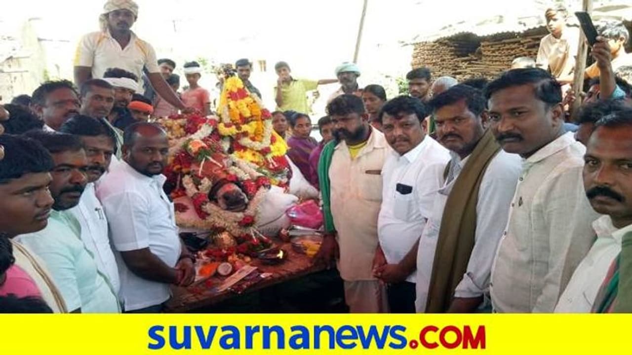 ಹಾವೇರಿ: ರಾಣಿಬೆನ್ನೂರು 'ಹುಲಿ' ಇನ್ನಿಲ್ಲ, ಕಂಬನಿ ಮಿಡಿದ ಜನತೆ