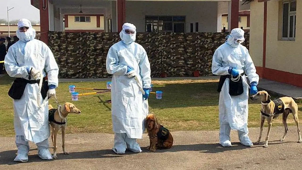Indian Army has trained dogs to sniff out Covid 19