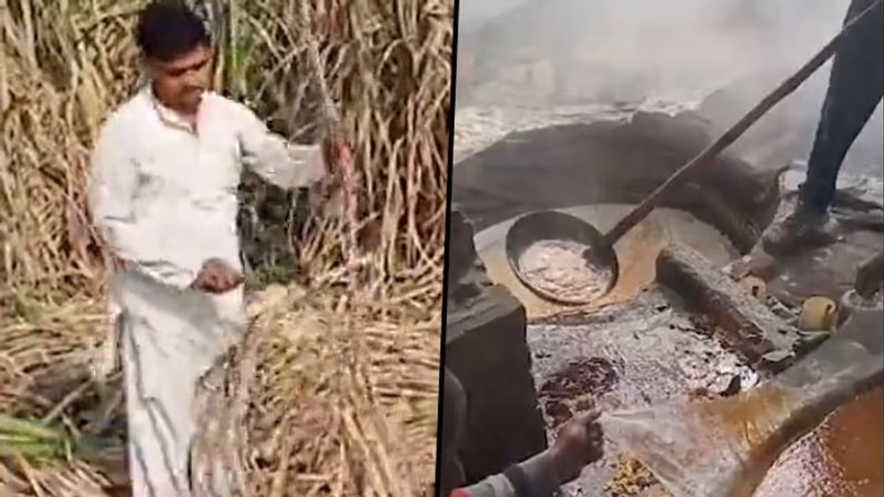 How producing organic jaggeries can be profitable